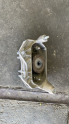 RENAULT TALIANT MOTOR KULAĞI GÜÇMANLAR 05012551616