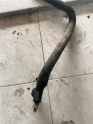 Oto Çıkma Parça / Volkswagen / Jetta / Radyatör / Radyatör Hortumu / Çıkma Parça 