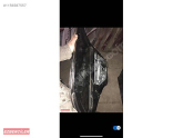 Oto Çıkma Parça / Volkswagen / Golf / Kaporta & Karoser / Sol Arka Kapı / Çıkma Parça 