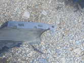 Oto Çıkma Parça / Renault / Clio / Tampon / Ön Tampon / Çıkma Parça 