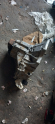 Oto Çıkma Parça / Mazda / 3 / Şanzıman / Şanzıman Komple / Çıkma Parça 