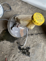 Oto Çıkma Parça / Citroen / C3 / Fren / Westinghouse / Çıkma Parça 