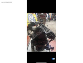 Oto Çıkma Parça / Volkswagen / Transporter / Motor / Komple Motor / Çıkma Parça 