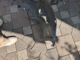 Oto Çıkma Parça / Opel / Astra / Tampon / Ön Tampon / Çıkma Parça 