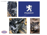 Peugeot 1.6 1.4 Benzinli Dizel Motorlar Komple Umut Oto