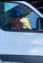 Oto Çıkma Parça / Citroen / Berlingo / Oto Cam / Kapı Camları / Çıkma Parça 