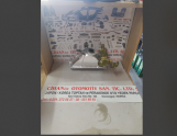 Oto Çıkma Parça / Toyota / Starlet / Far & Stop / Sağ Ön Far / Sıfır Parça 
