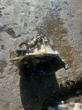 Oto Çıkma Parça / Citroen / C4 / Şanzıman / Şanzıman Komple / Çıkma Parça 