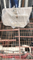 Oto Çıkma Parça / Mercedes / EQC / Koltuk & Döşeme / Kapı Döşemesi / Çıkma Parça 