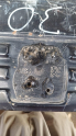 Oto Çıkma Parça / Peugeot / 106 / Kaporta & Karoser / Kaput / Çıkma Parça 