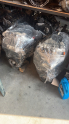 Oto Çıkma Parça / Peugeot / 106 / Motor / Motor (komple) / Çıkma Parça 