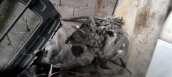 Oto Çıkma Parça / Mitsubishi / L300 / Şanzıman / Şanzıman Komple / Çıkma Parça 