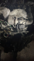 Oto Çıkma Parça / Land Rover / Range Rover / Motor / Motor (komple) / Çıkma Parça 