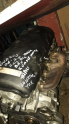 Oto Çıkma Parça / Volkswagen / Touareg / Motor / Motor (komple) / Çıkma Parça 