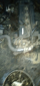 Oto Çıkma Parça / Hyundai / Accent / Motor / Komple Motor / Çıkma Parça 