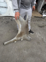 Oto Çıkma Parça / Peugeot / 301 / Kaporta & Karoser / Sağ Ön Çamurluk / Çıkma Parça 