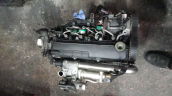 Oto Çıkma Parça / Renault / Clio / Motor / Motor (komple) / Çıkma Parça 