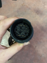 Oto Çıkma Parça / Volkswagen / Polo / Motor / Elektrik Tesisatı / Çıkma Parça 