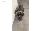 Oto Çıkma Parça / Jeep / Cherokee / Motor / Silindir Kapağı / Çıkma Parça 