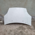 Ford fiesta kaput
