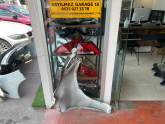 Oto Çıkma Parça / Toyota / Corolla / Kaporta & Karoser / Sol Ön Çamurluk / Çıkma Parça 