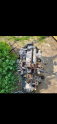 Oto Çıkma Parça / Ford / Tourneo Connect / Motor / Motor (komple) / Çıkma Parça 
