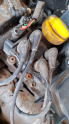 Renault Clio 1.4 Benzinli Ateşleme Bobini