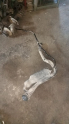 Oto Çıkma Parça / Renault / Clio / Yakıt / Yakıt Deposu / Çıkma Parça 