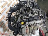 Oto Çıkma Parça / Volkswagen / Tiguan / Motor / Motor (komple) / Çıkma Parça 