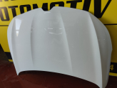 Oto Çıkma Parça / Renault / Megane / Kaporta & Karoser / Kaput / Çıkma Parça 