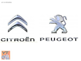 Oto Çıkma Parça / Citroen / C4 / Kaporta & Karoser / Sağ Ön Çamurluk / Sıfır Parça 