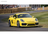 Oto Çıkma Parça / Porsche / Cayman / Far & Stop / Sol Ön Far / Çıkma Parça 