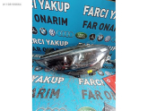 FIAT EGEA SOL ÖN FAR YENİ MODEL