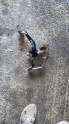 Oto Çıkma Parça / Honda / Civic / Koltuk & Döşeme / Pedal / Çıkma Parça 