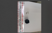 Oto Çıkma Parça / Subaru / Justy / Motor / Devirdaim / Sıfır Parça 