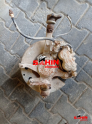 Oto Çıkma Parça / Mazda / BT-50 / Fren / Kaliper / Çıkma Parça 