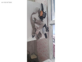 Oto Çıkma Parça / Honda / Civic / Airbag / Emniyet Kemeri / Çıkma Parça 