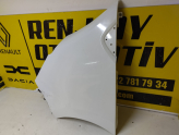 Oto Çıkma Parça / Renault / Trafic / Kaporta & Karoser / Sol Ön Çamurluk / Çıkma Parça 