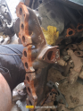 Oto Çıkma Parça / Peugeot / 407 / Egzoz / Egzoz Manifoldu / Çıkma Parça 
