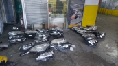 Oto Çıkma Parça / Citroen / Berlingo / Far & Stop / Sol Ön Far / Çıkma Parça 