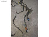 Oto Çıkma Parça / Ford / Focus / Motor / Elektrik Tesisatı / Çıkma Parça 