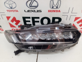 Oto Çıkma Parça / Honda / Accord / Far & Stop / Sağ Ön Far / Çıkma Parça 