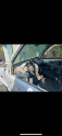Oto Çıkma Parça / Renault / Kangoo / Direksiyon / Direksiyon Simidi / Çıkma Parça 