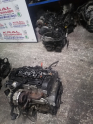 Oto Çıkma Parça / Volkswagen / Golf / Motor / Motor (komple) / Çıkma Parça 
