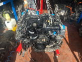 Oto Çıkma Parça / Volkswagen / Amarok / Motor / Motor (komple) / Çıkma Parça 