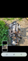 Oto Çıkma Parça / Ford / Tourneo Connect / Motor / Motor (komple) / Çıkma Parça 