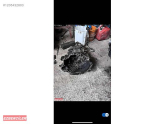 Oto Çıkma Parça / Volkswagen / Passat / Şanzıman / Şanzıman Komple / Çıkma Parça 