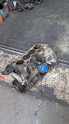 Oto Çıkma Parça / Honda / Accord / Motor / Motor (komple) / Çıkma Parça 