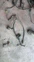 98 model Opel astra F klima borusu 4000