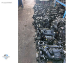 Oto Çıkma Parça / Ford / Fiesta / Motor / Motor (komple) / Çıkma Parça 